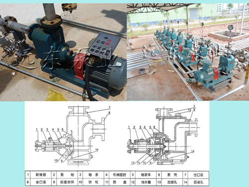 遠東離(lí)心油泵實地拍攝(she)