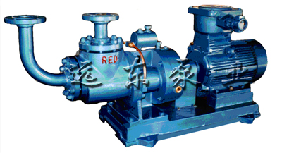 加氣站(zhàn)專用雙螺杆LPG抽(chou)吸泵-芜湖韦纳计算机设备集团(3G网站)