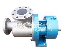 Wkse快(kuai)速清洗雙螺杆(gan)泵