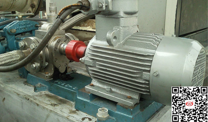 不鏽鋼(gang)齒輪泵