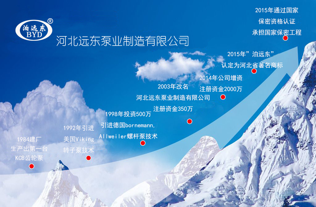 芜湖韦纳计算机设备集团(3G网站)發展曆程